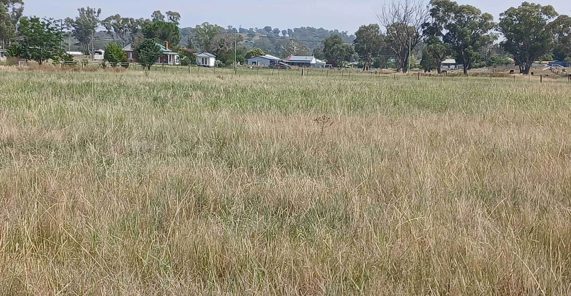 Additional image 2 of Bundarra NSW 2359