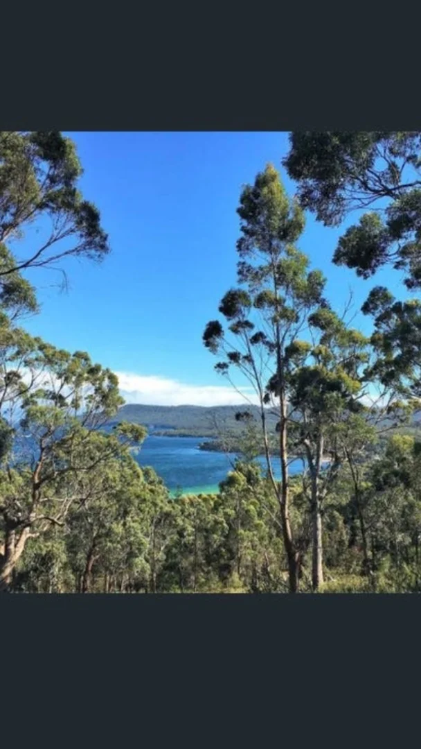 Additional image 4 of 153 White Beach Road, White Beach TAS 7184