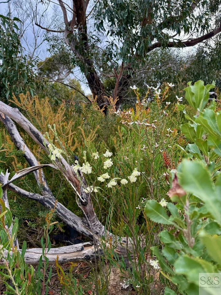 Additional image 26 of 678 Baxters Road, Karatta SA 5223