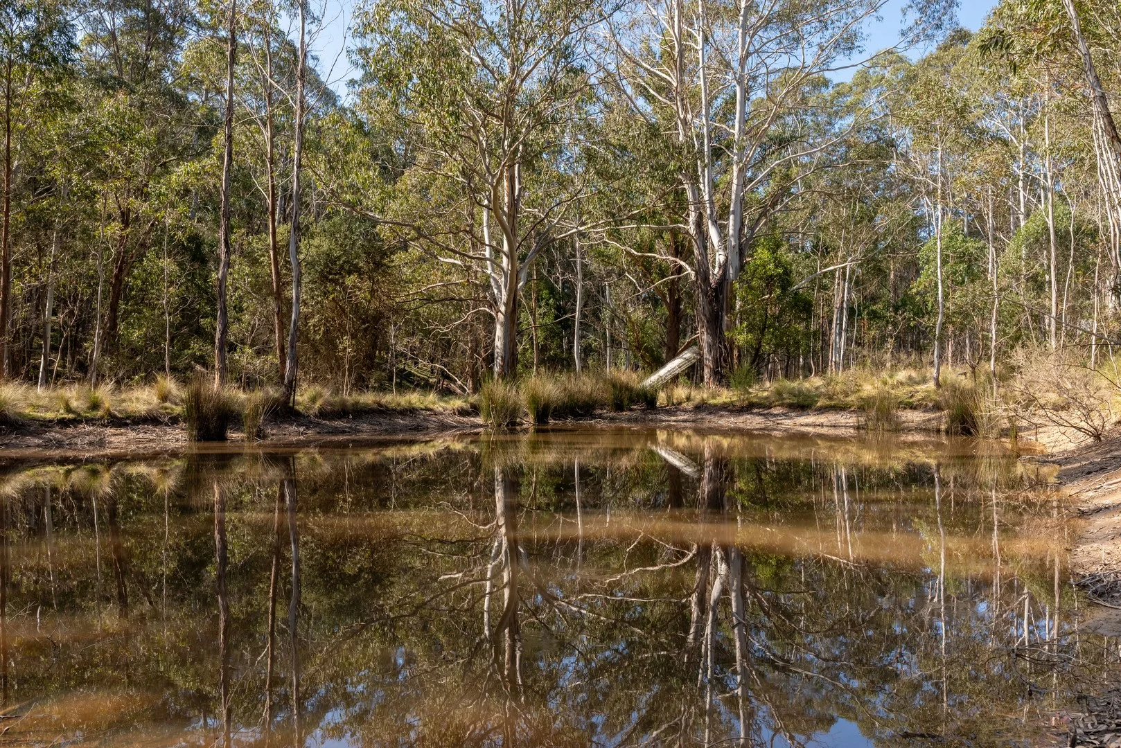 153 Blue Bush Road, Wyanbene NSW 2622