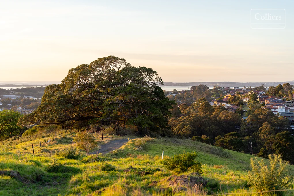 Additional image 5 of Lot 8/111 Staff Road, Cordeaux Heights NSW 2526