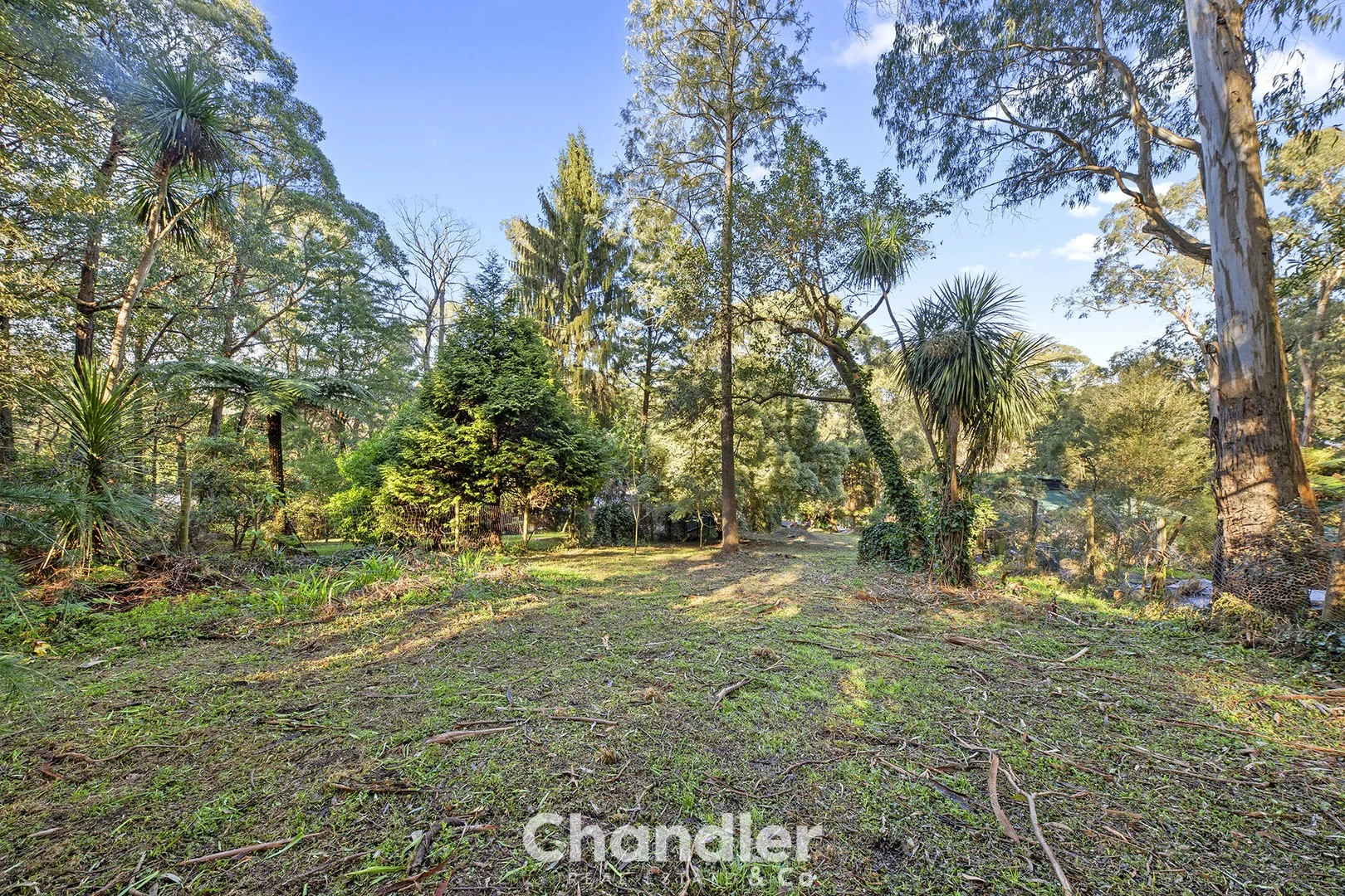 25 Wright Avenue, Upwey VIC 3158