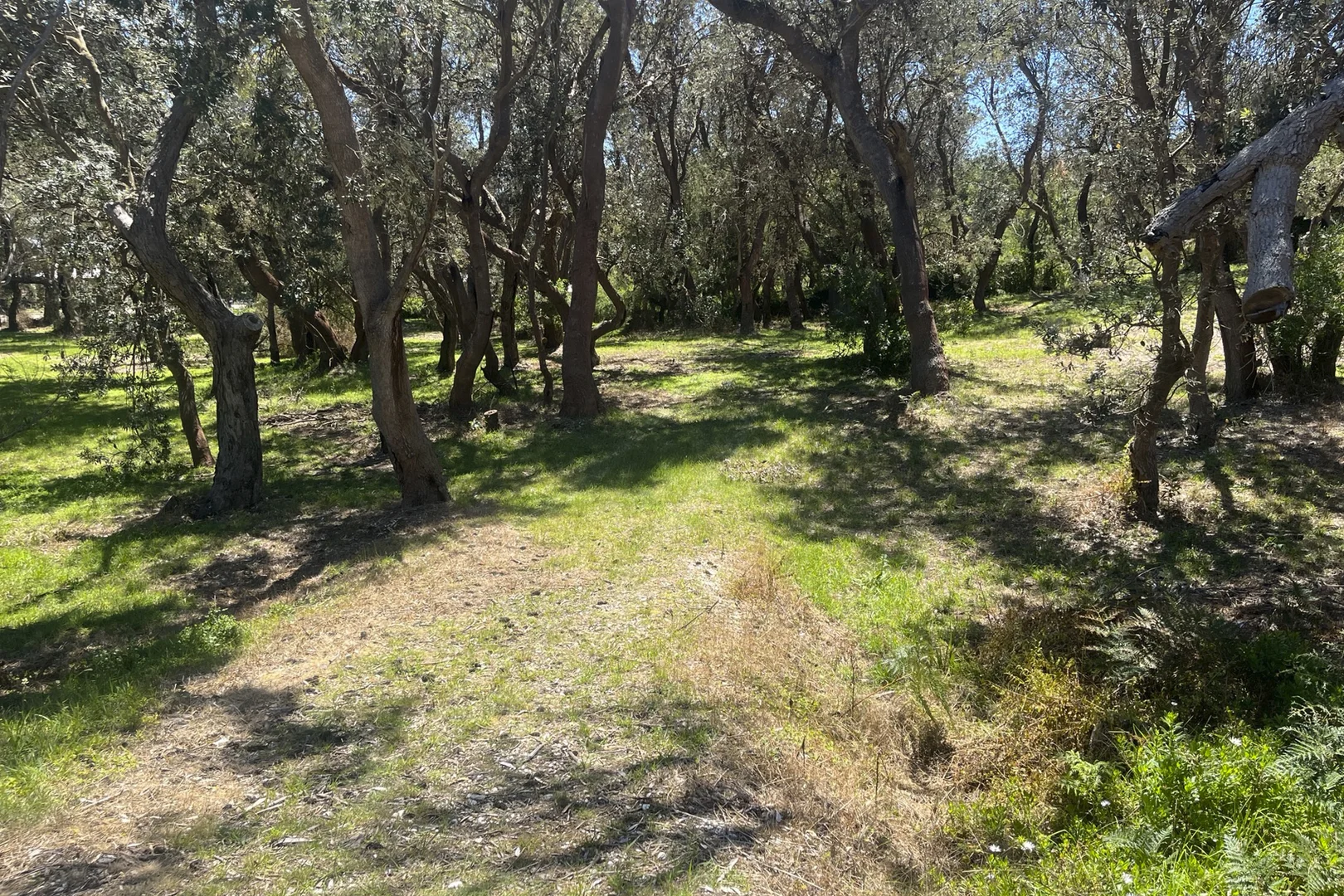 Additional image 9 of 42 Fairway Avenue, Golden Beach VIC 3851