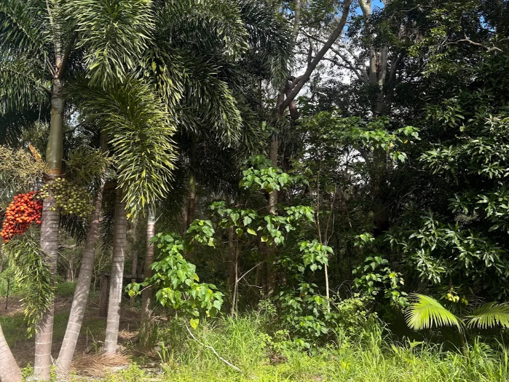 Additional image 12 of 25 Flaggy Rock Road, Clairview QLD 4741