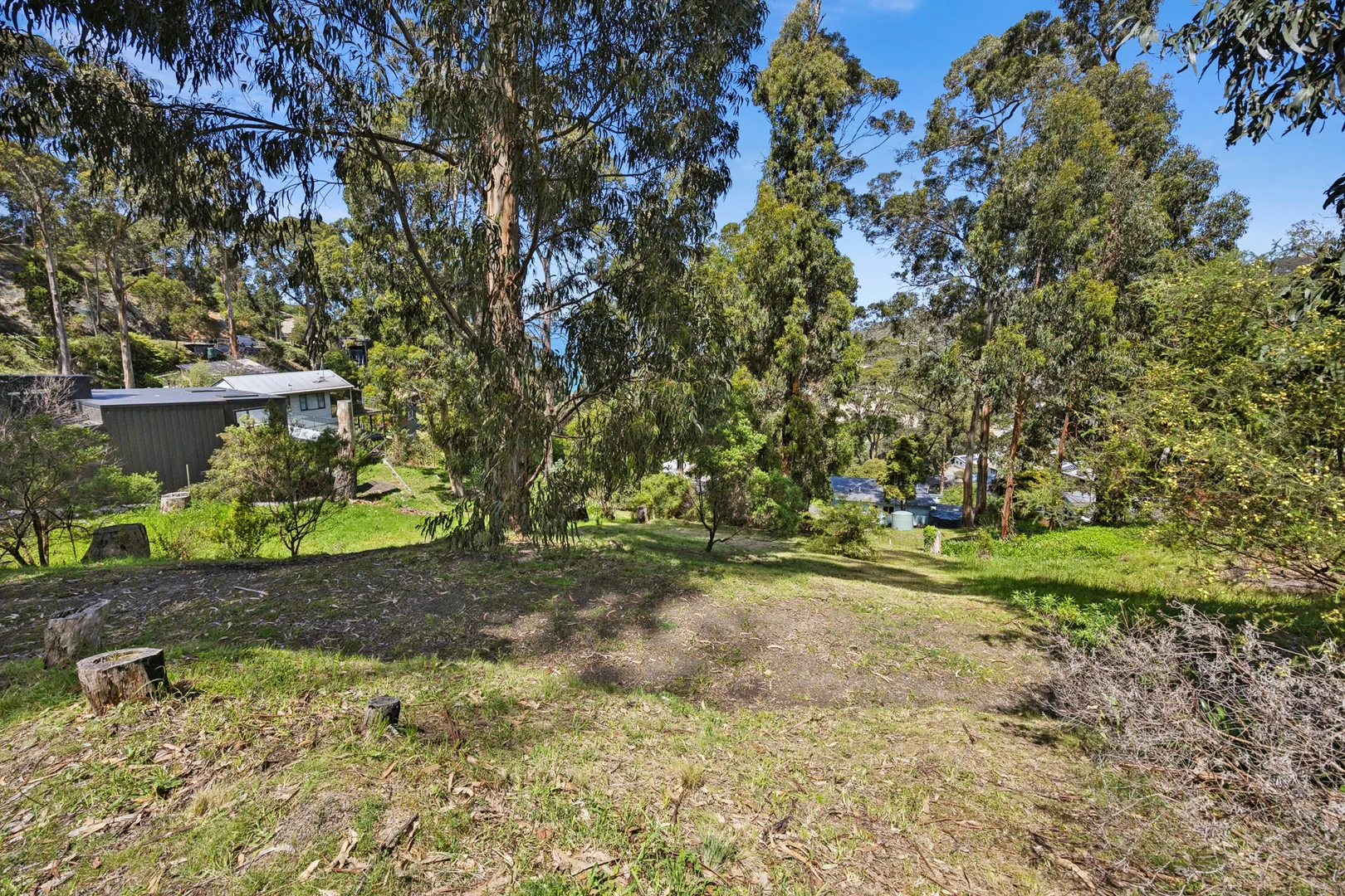 Additional image 6 of 8 Durimbil Avenue, Wye River VIC 3234