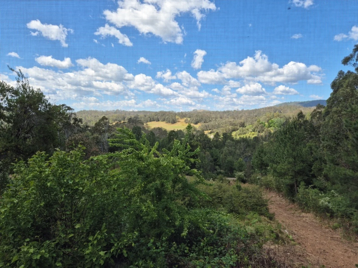Additional image 19 of Dorrigo NSW 2453