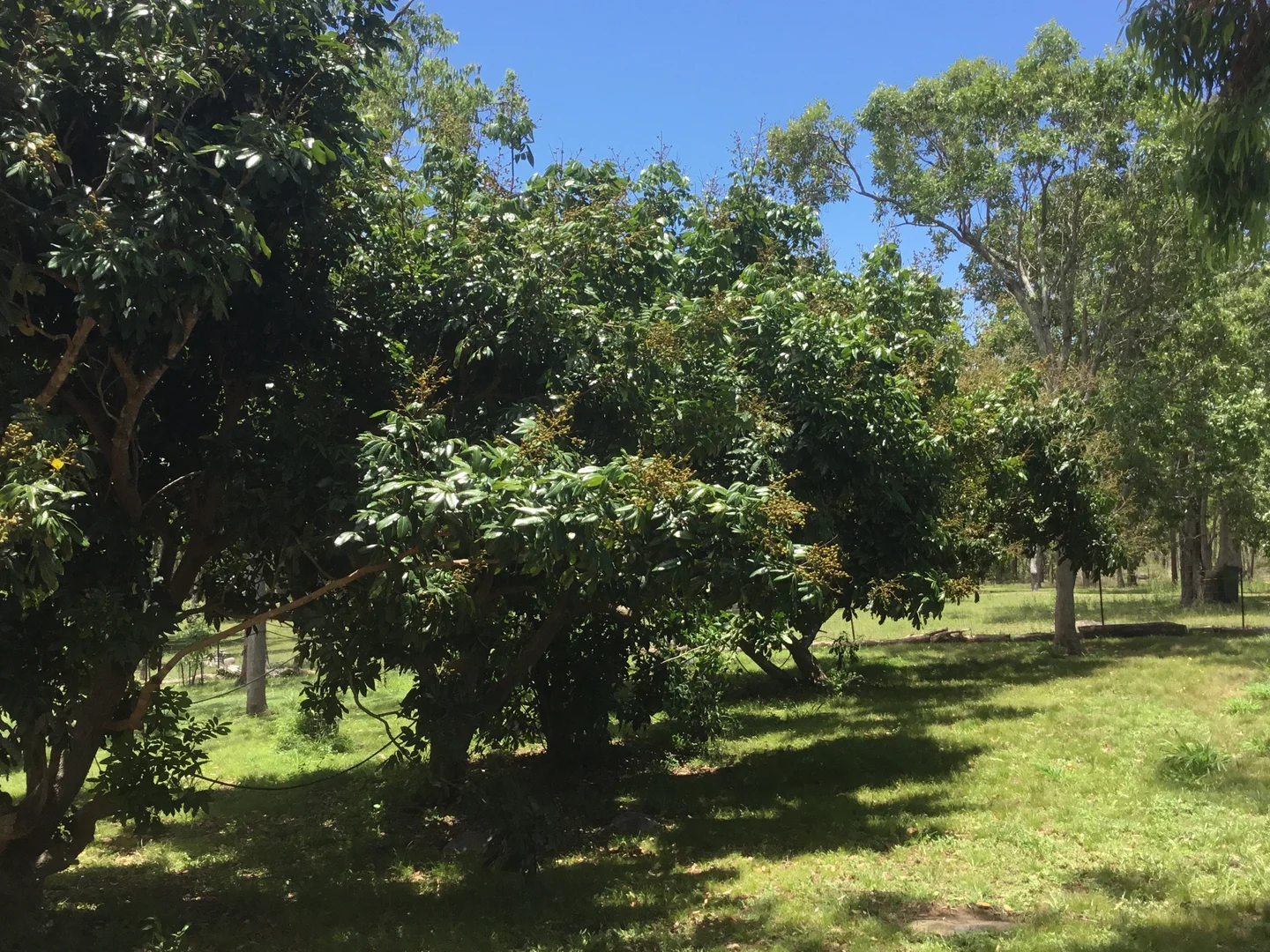 Additional image 21 of 39 Fryers Road, Hervey Range QLD 4817