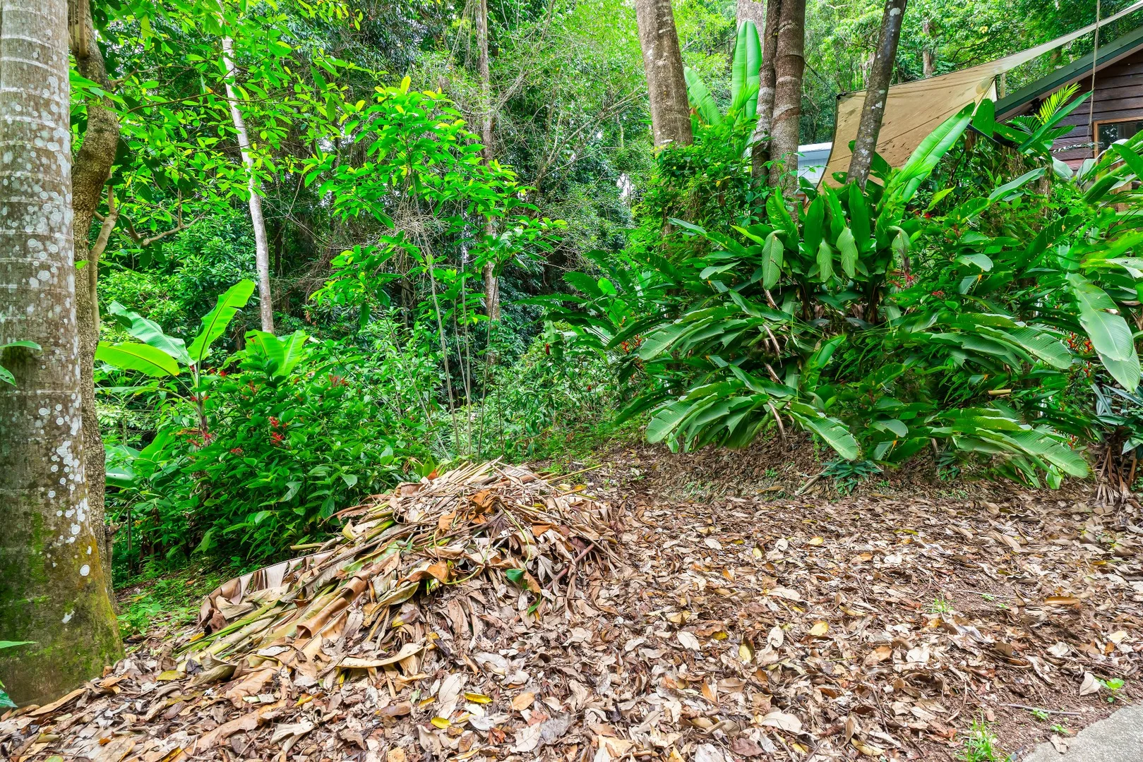 Additional image 5 of 14 Jagera Close, Kamerunga QLD 4870