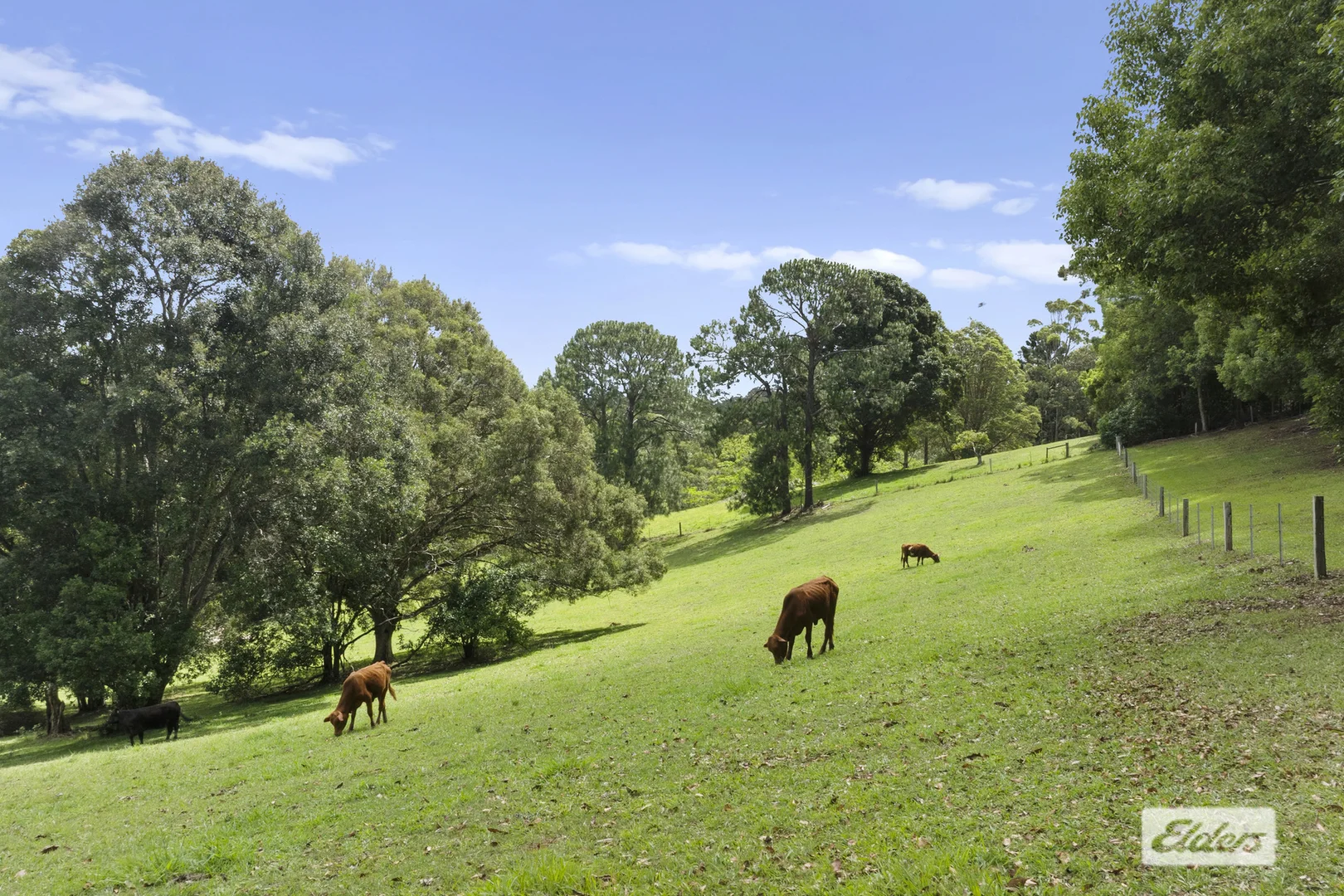 Additional image 37 of 175 Upper Duroby Creek Road, Upper Duroby NSW 2486