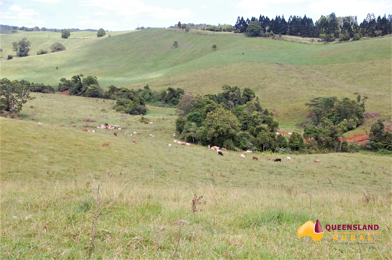 Additional image 6 of Tarzali QLD 4885