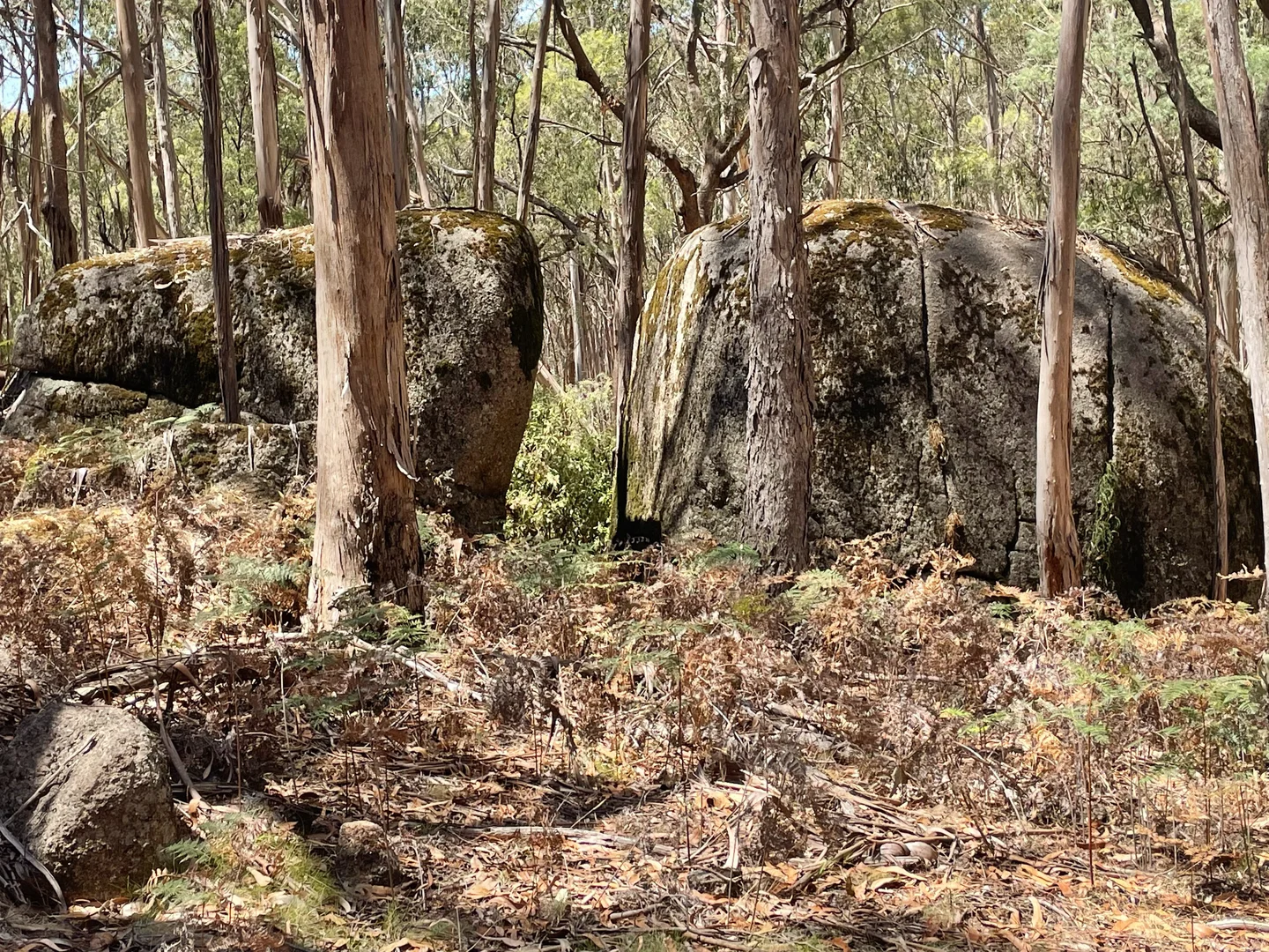 Additional image 8 of Strathbogie VIC 3666