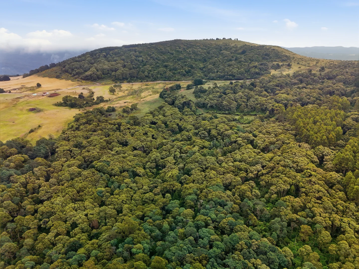 Additional image 9 of 28834 Tasman Highway, Weldborough TAS 7264