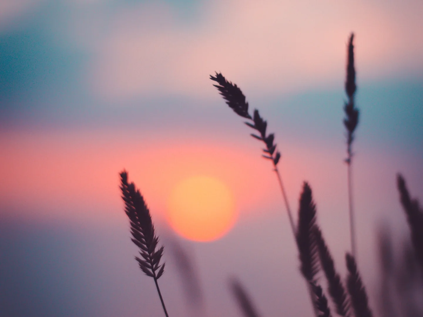 Additional image 5 of Brighton Estate, Mildura VIC 3500