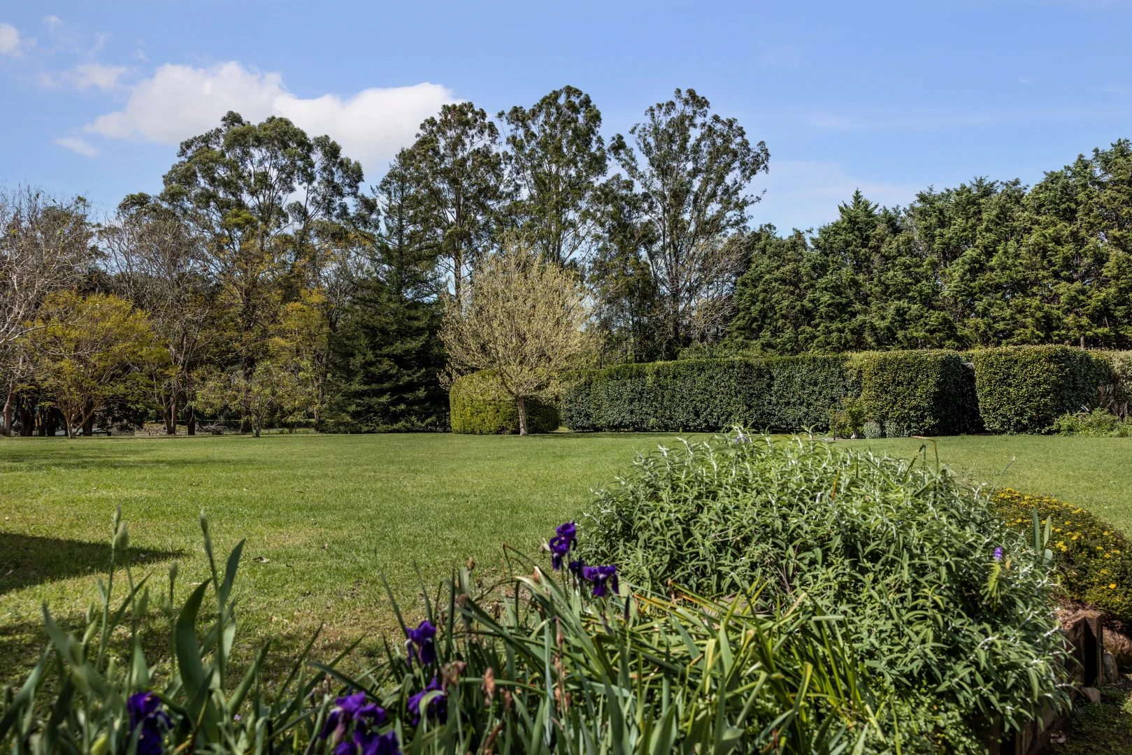 Additional image 20 of 220a Strongs Road, Jaspers Brush NSW 2535