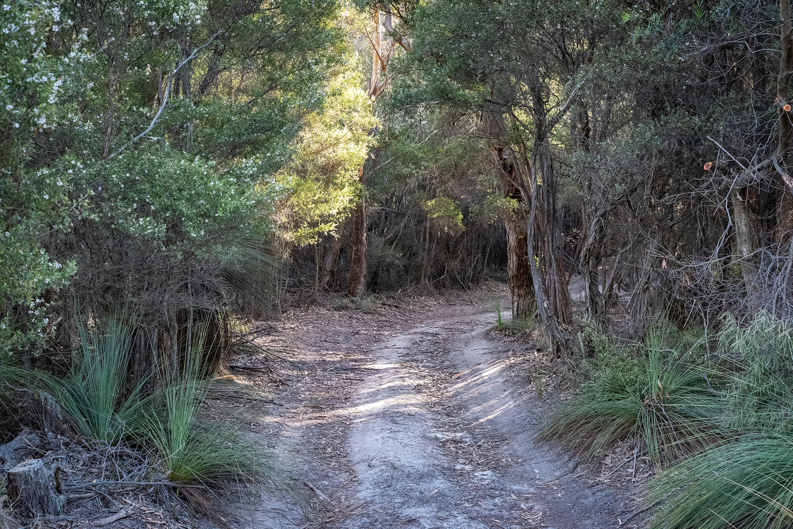 Additional image 19 of . Killiecrankie Road, Killiecrankie TAS 7255