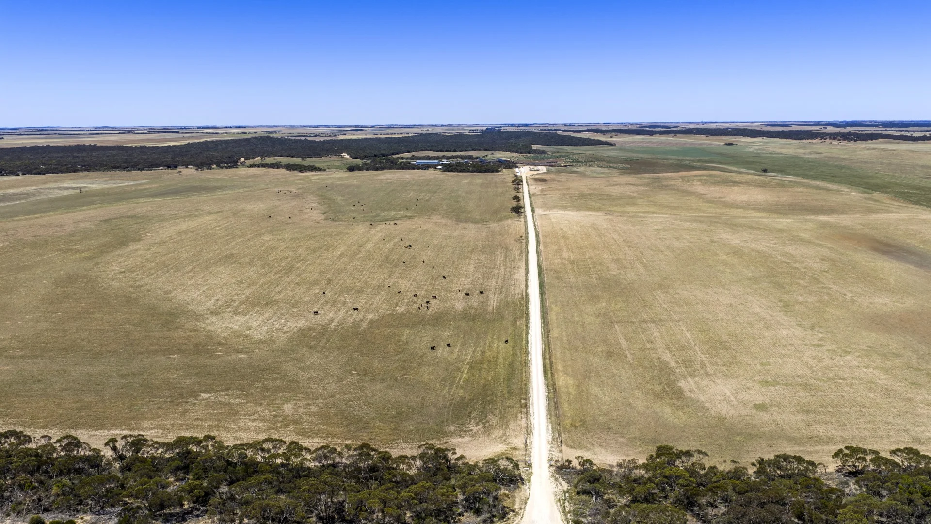 Additional image 3 of 1156 Parrakie North Road, Lameroo SA 5302