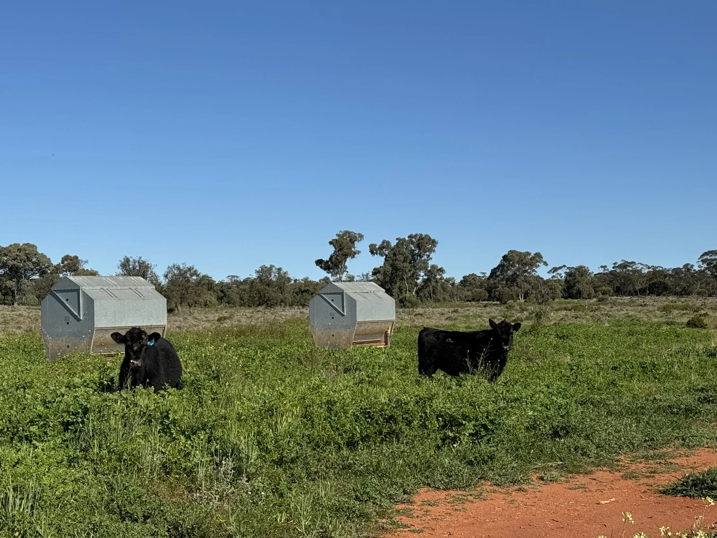 Additional image 2 of 2823 Hermidale Nymagee Road, Hermidale NSW 2831