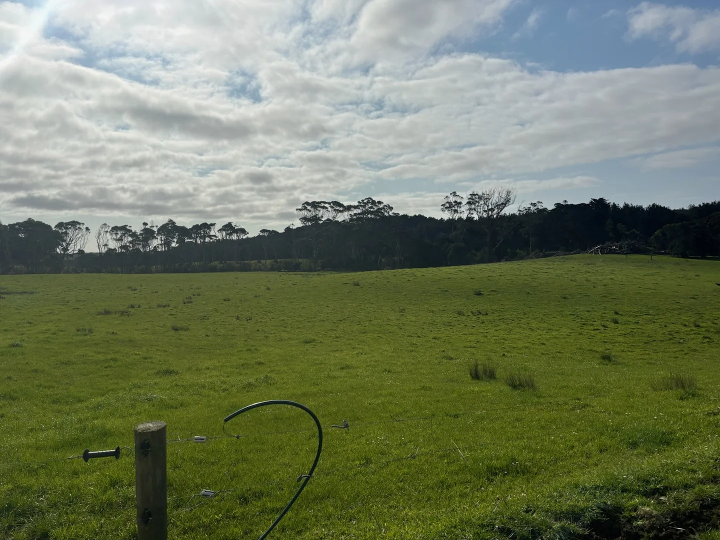 Additional image 4 of 678 Pegarah Road, Pegarah TAS 7256