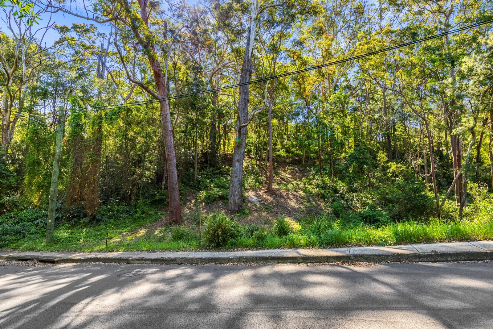 Additional image 4 of 49 Finlay Road, Warrawee NSW 2074