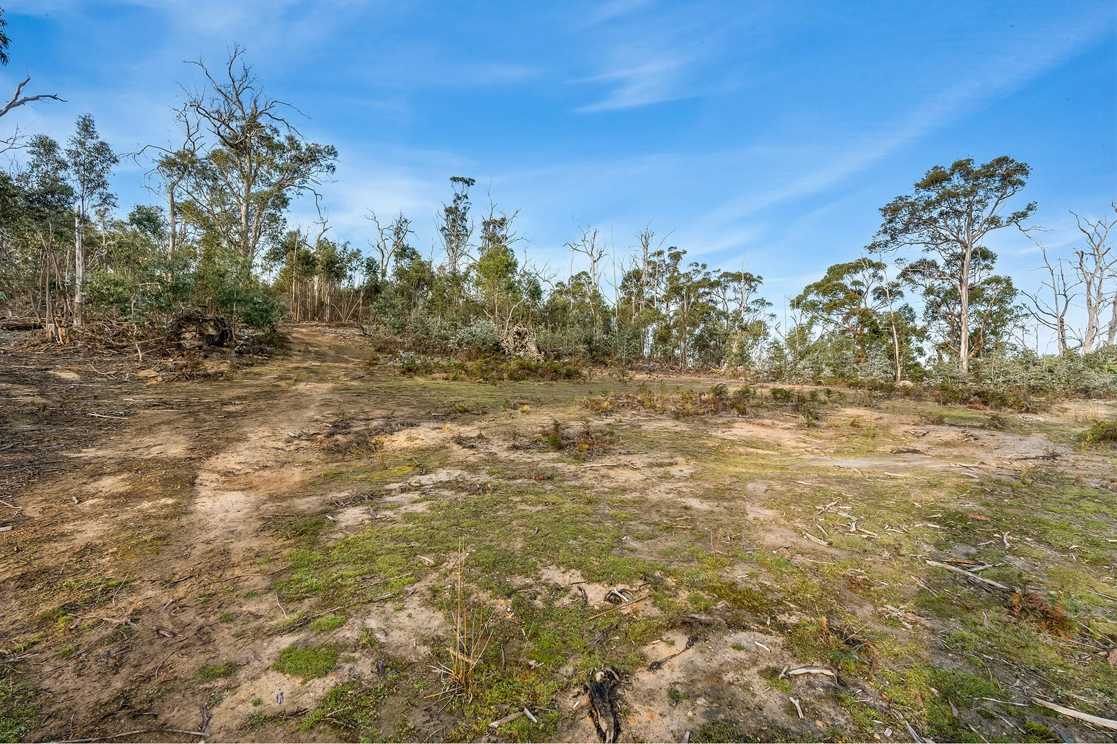 Additional image 13 of 107 Inala Road, Forcett TAS 7173