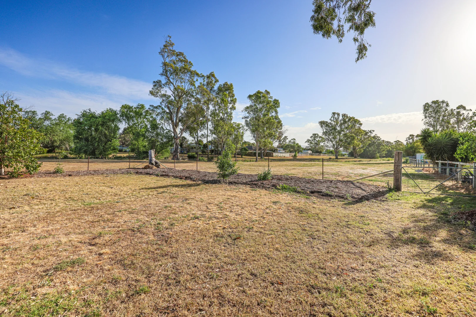 Additional image 26 of 203 Susan Street, Scone NSW 2337