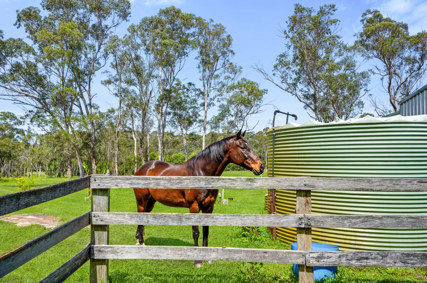 Additional image 2 of 180 Stannix Park Road, Wilberforce NSW 2756