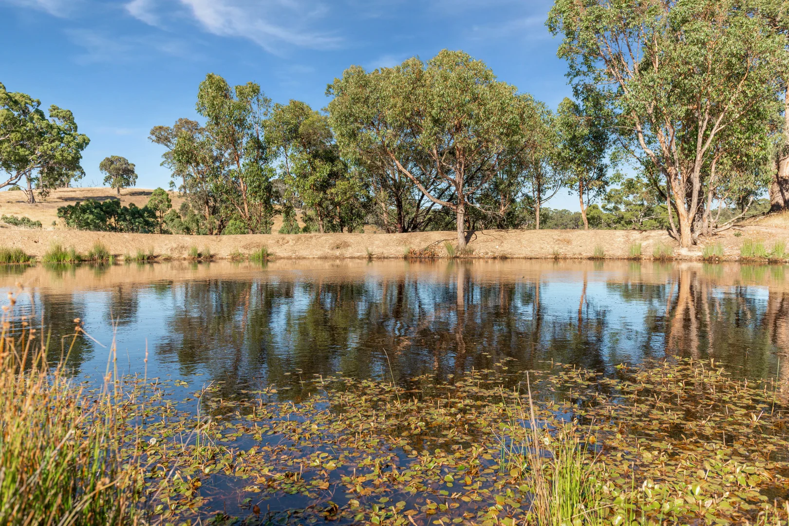 Additional image 18 of 360 Simon Hill Road, Wallan VIC 3756