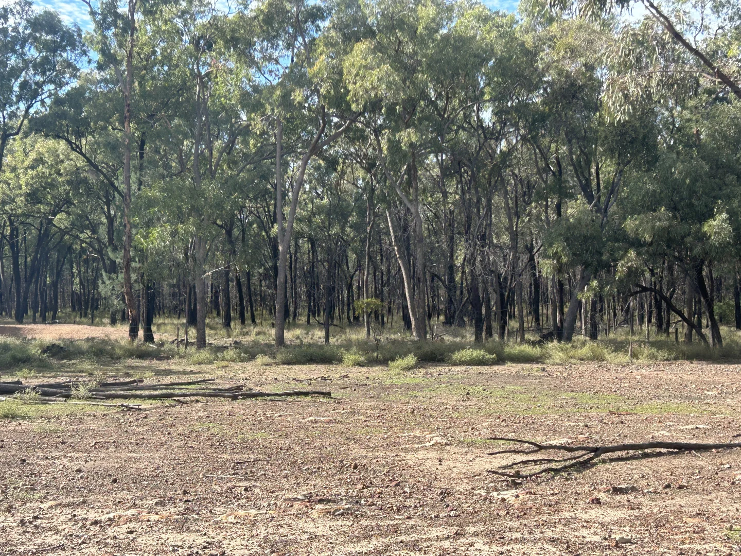 Additional image 30 of 5045 Tara Chinchilla Road, Tara QLD 4421