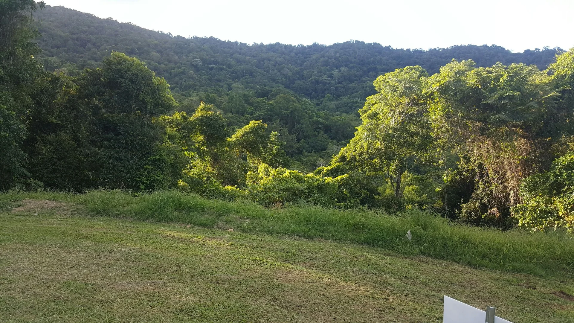 Additional image 2 of Lot 128 Orana Street, Red Peak Forest Estate, Caravonica QLD 4878