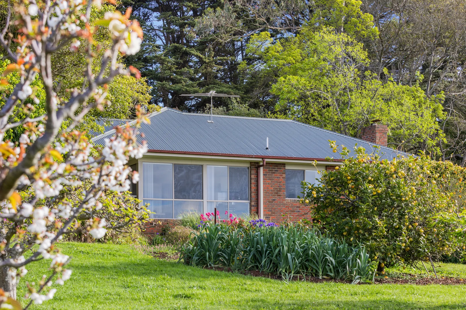 Additional image 4 of 470 Arthurs Seat Road, Red Hill VIC 3937