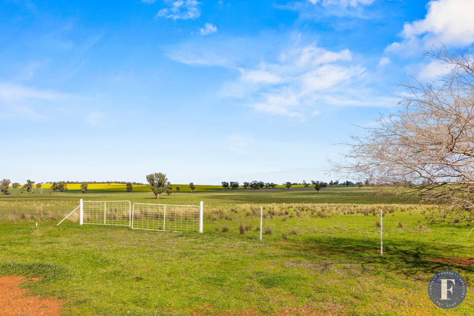 Additional image 8 of 893 Deaths Lane, Pullabooka NSW 2810