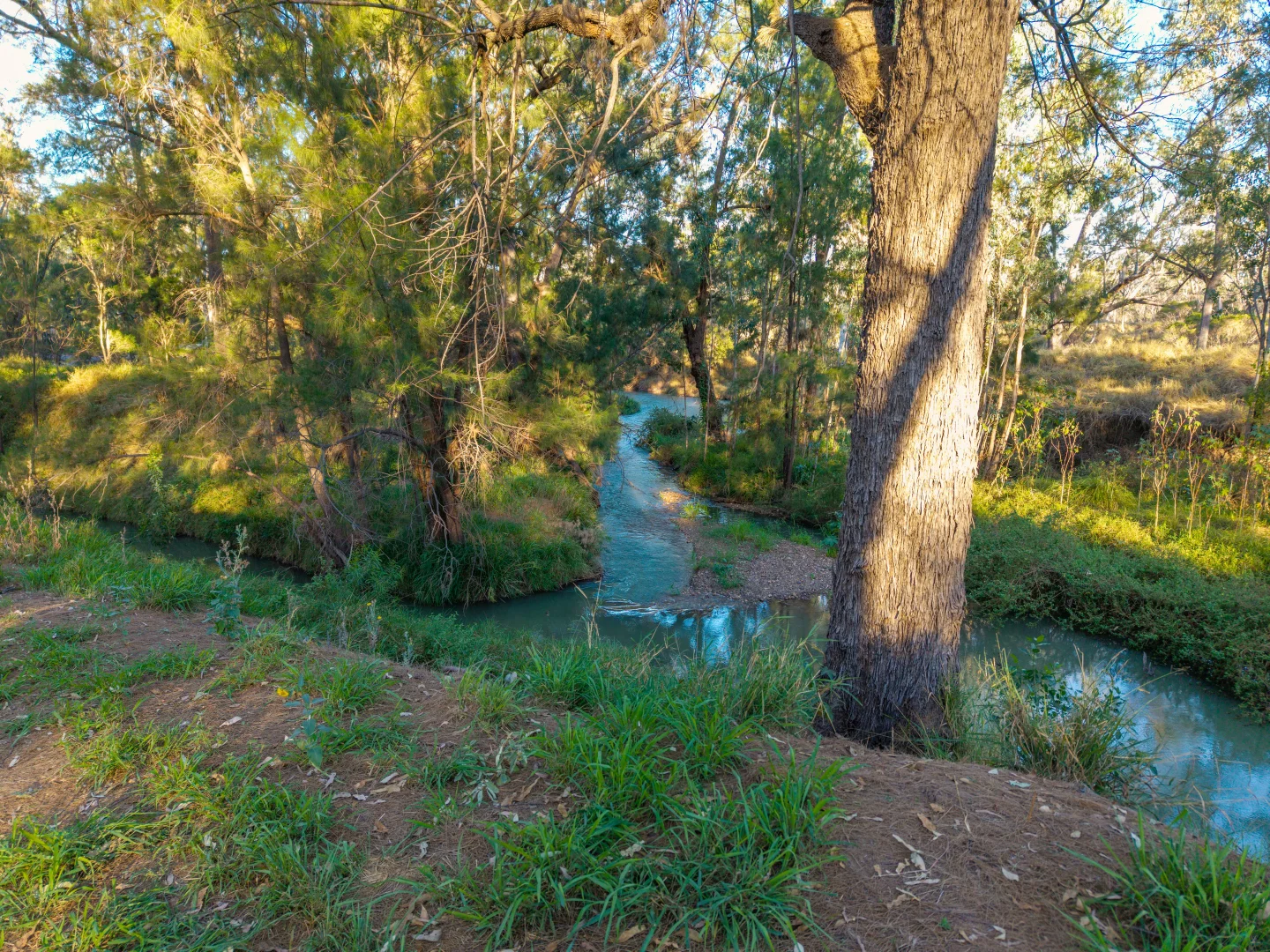 Additional image 2 of Lot 3, 1423 Selma Road, Emerald QLD 4720