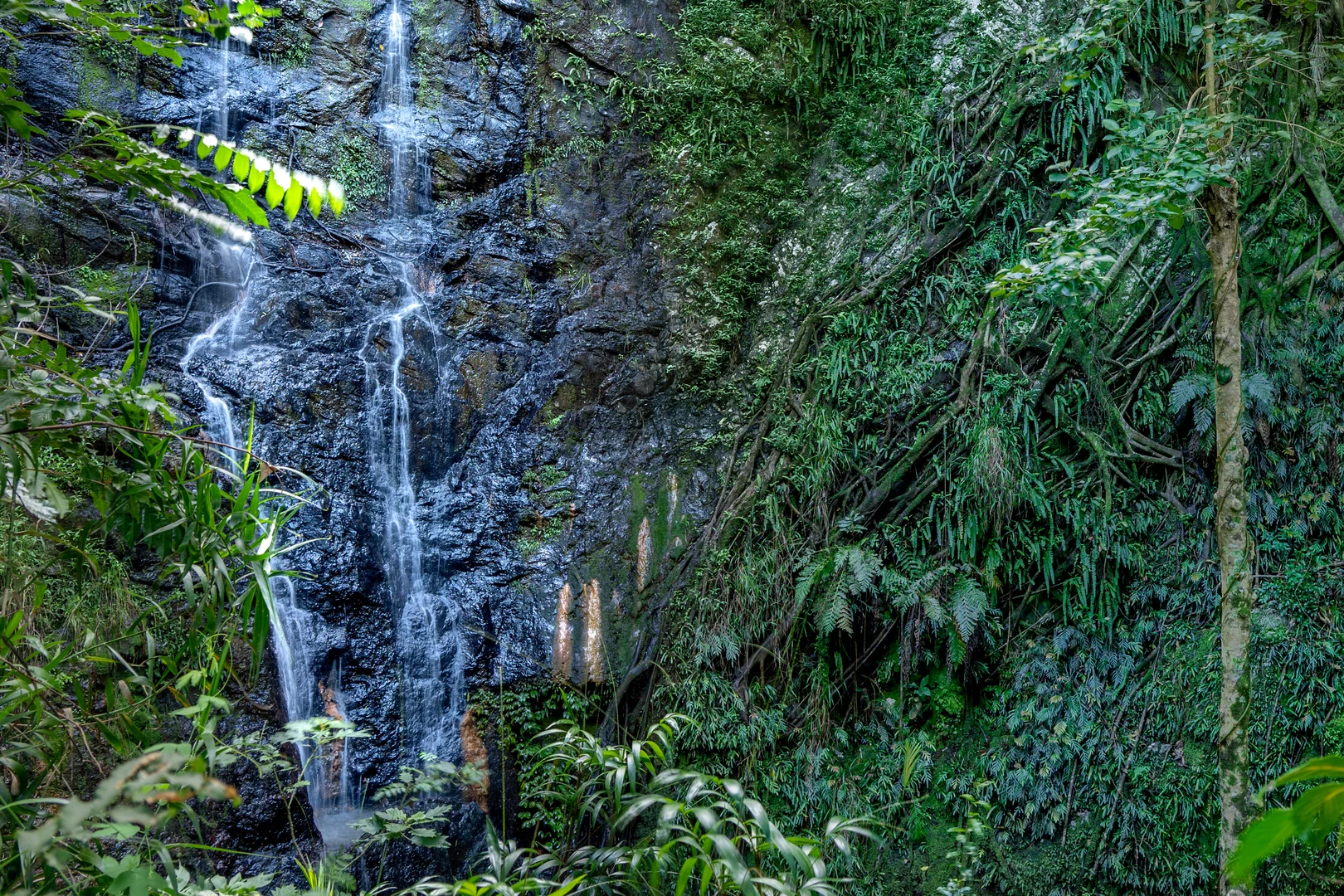 Additional image 30 of Sleepy Hollow NSW 2483