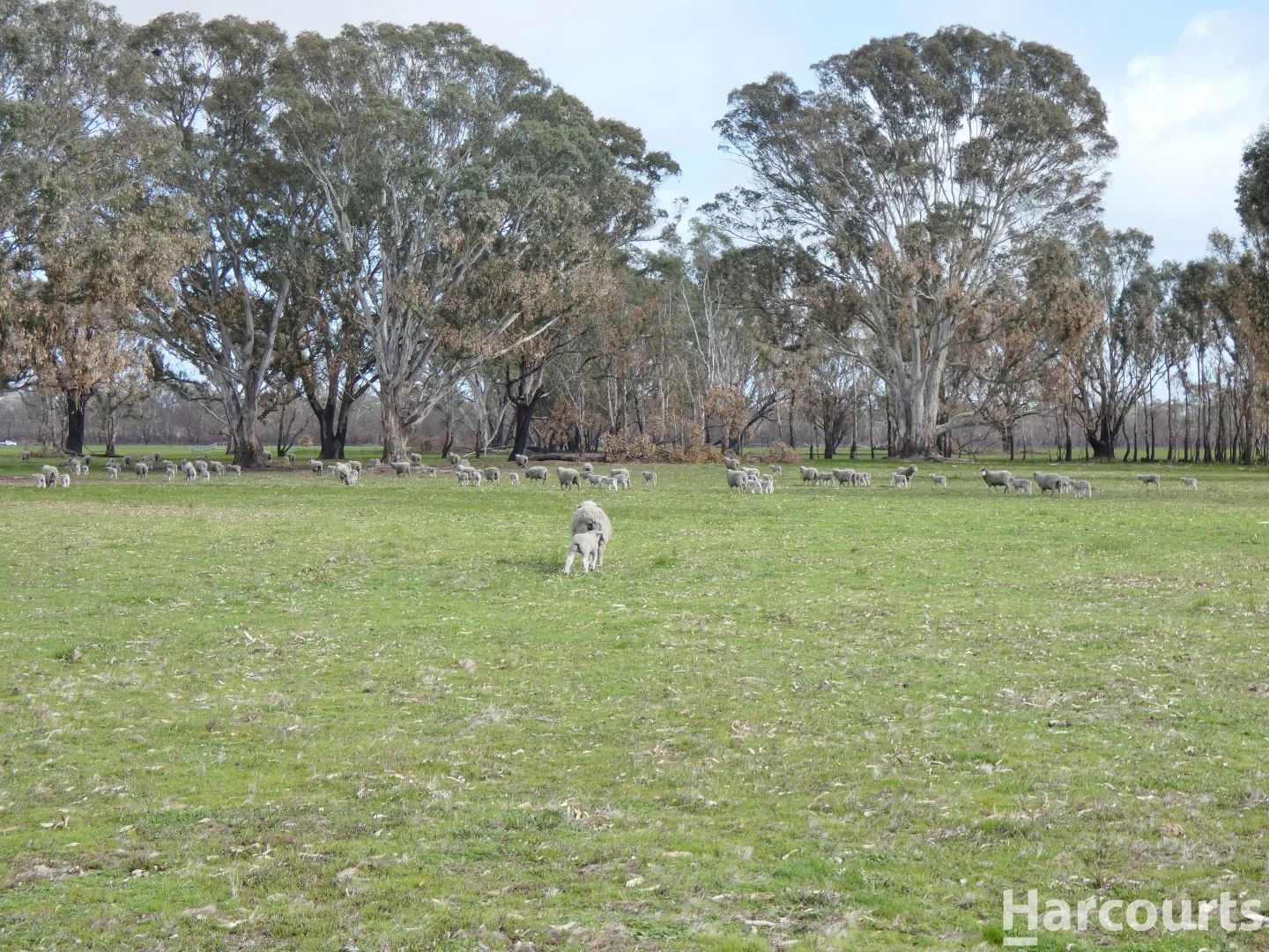 Additional image 14 of 6080 Western Highway, Dadswells Bridge VIC 3385