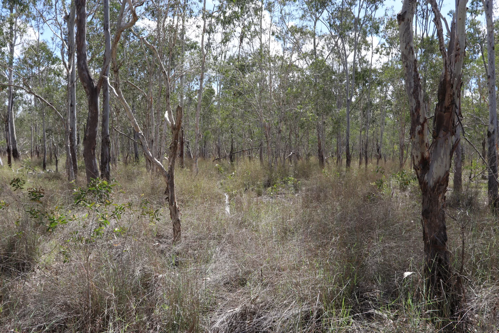 Additional image 13 of 330 Doonside Road, Jardine QLD 4702