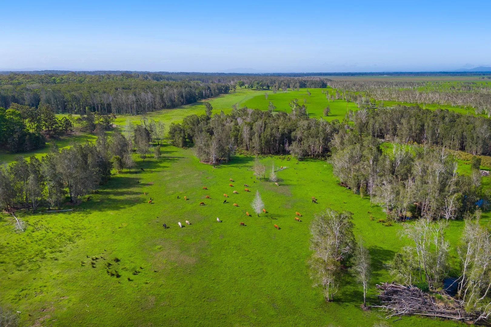 Additional image 15 of 1/437 Seale Road, Belmore River NSW 2440