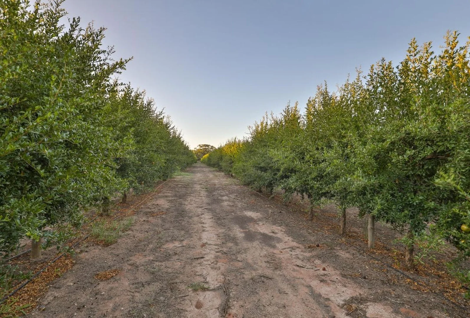 Additional image 6 of 128 Hewett Road, Colignan VIC 3494