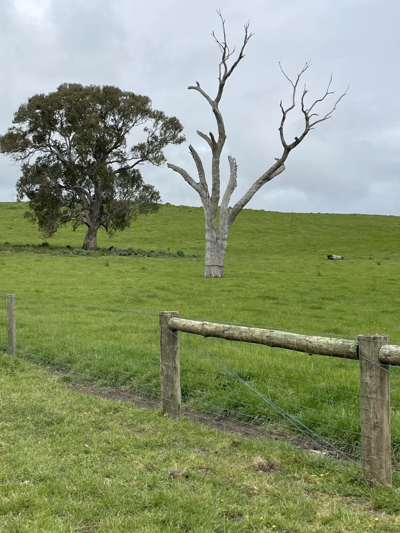 Additional image 5 of Portland-Casterton Road, Henty VIC 3312