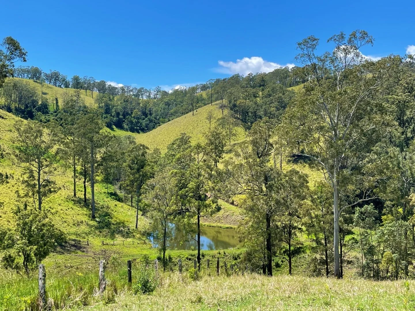 Additional image 3 of 59 Wyndham Road, Wyneden NSW 2474