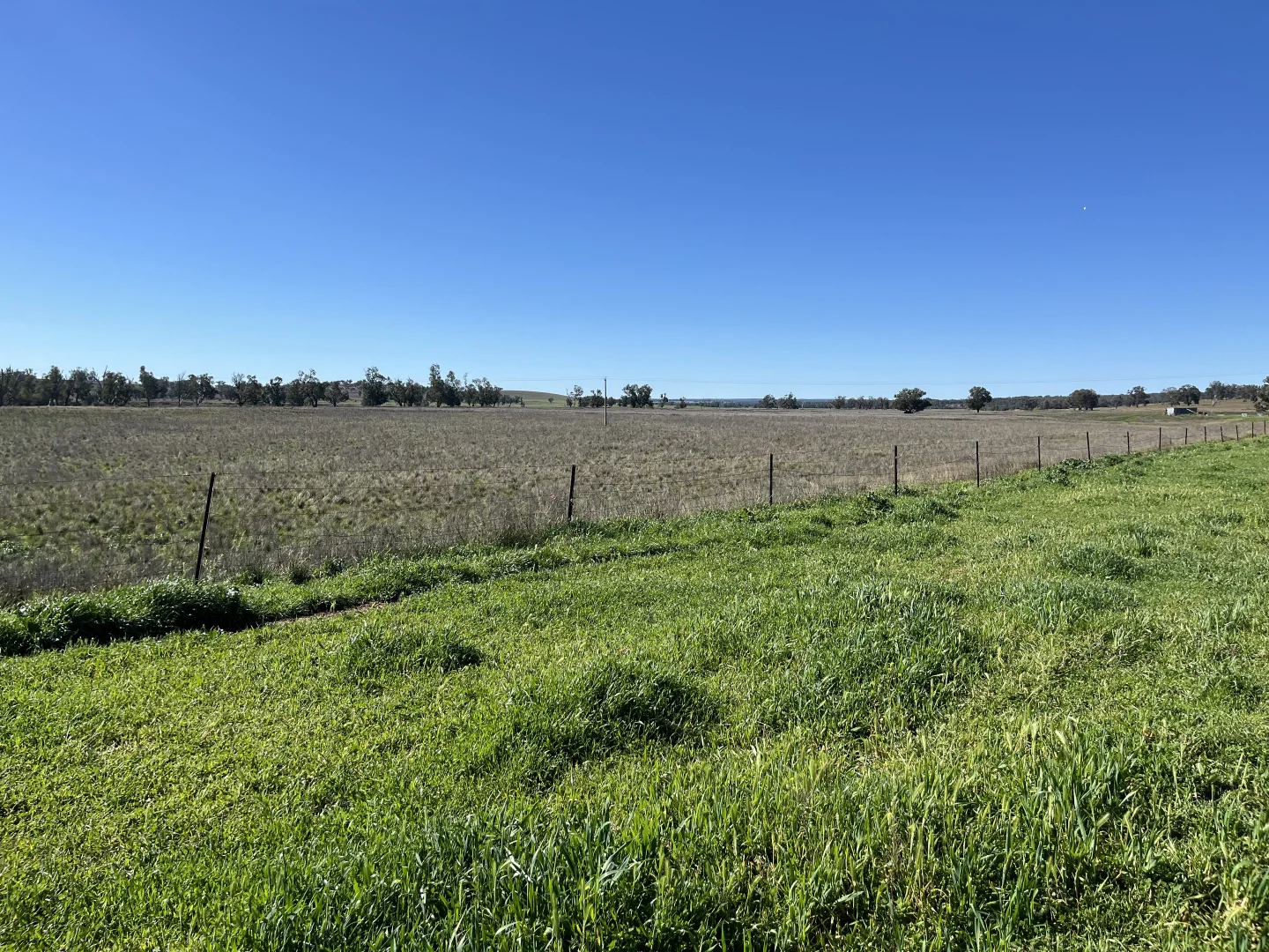 Additional image 18 of "Piambra" 714 Piambra Road, Binnaway NSW 2395