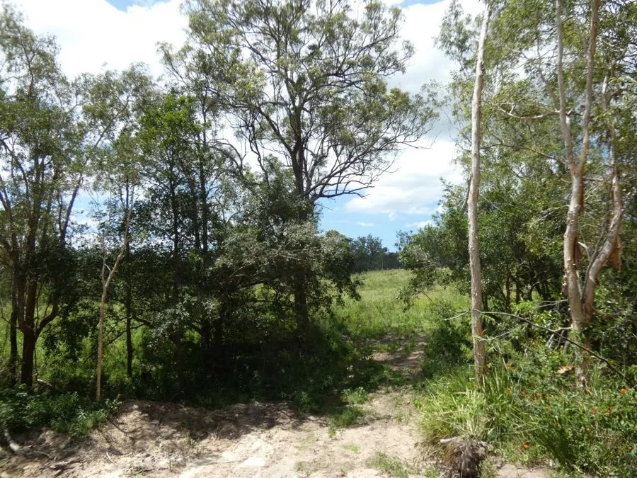 Additional image 25 of Lot 41 Moolyung Road, Waterloo QLD 4673