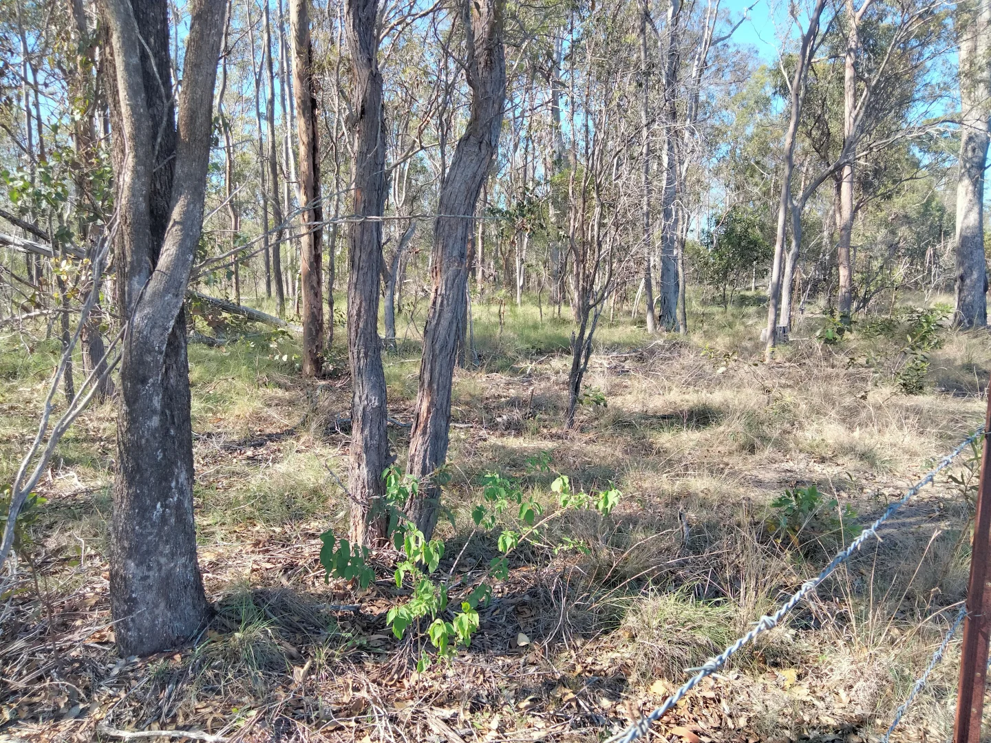 Additional image 53 of 2913 Rosedale Road, Yandaran QLD 4673