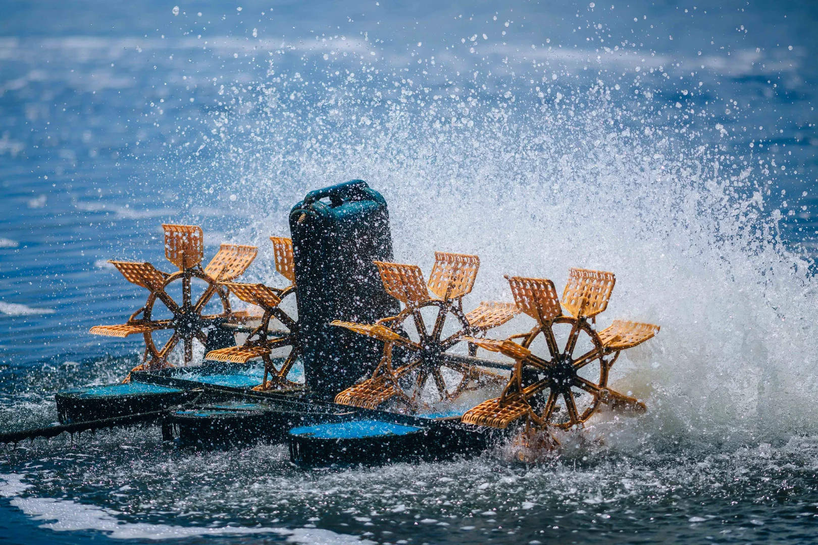 Additional image 4 of Alva QLD 4807