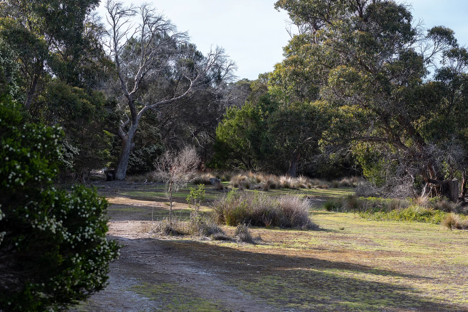 Additional image 20 of . Killiecrankie Road, Killiecrankie TAS 7255