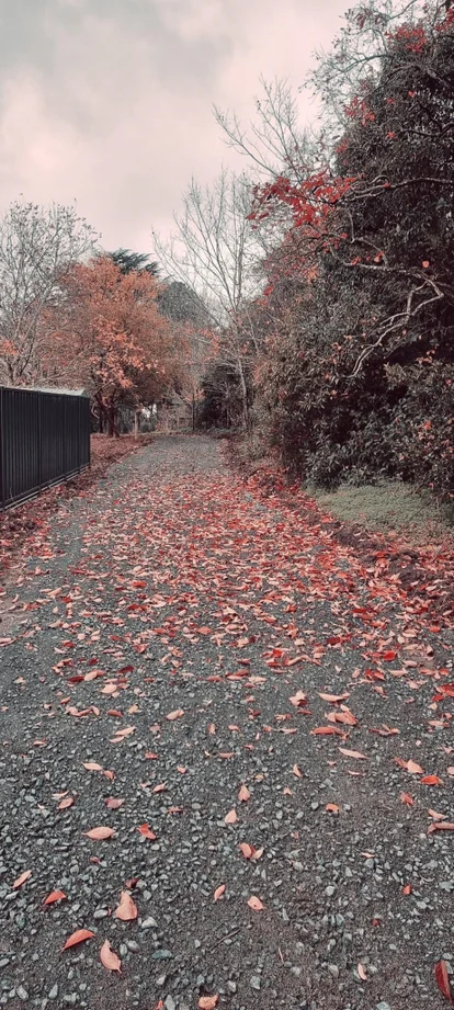 Additional image 8 of 9A Delaneys Road, Warranwood VIC 3134