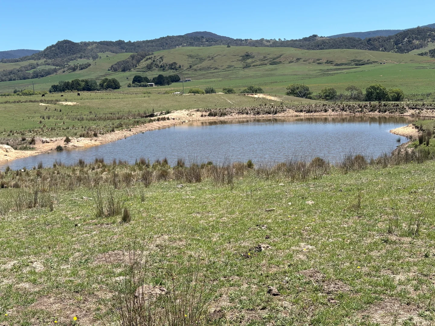 Additional image 11 of 130 Jerrabatgulla Road via Braidwood, Braidwood NSW 2622