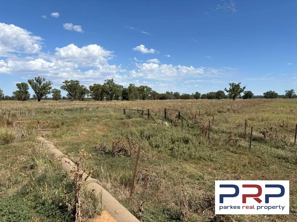 Additional image 8 of 4194 Lachlan Valley Way, Warroo NSW 2871