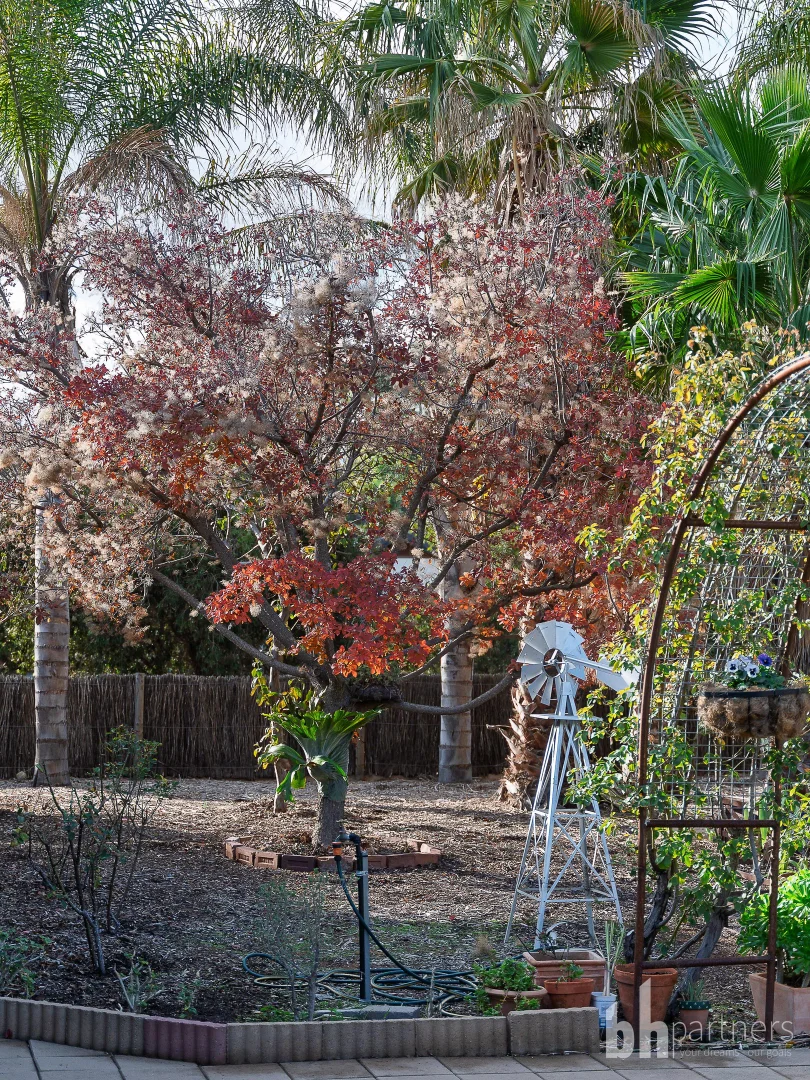 Additional image 44 of 1 Shepherd Drive, Paringa SA 5340