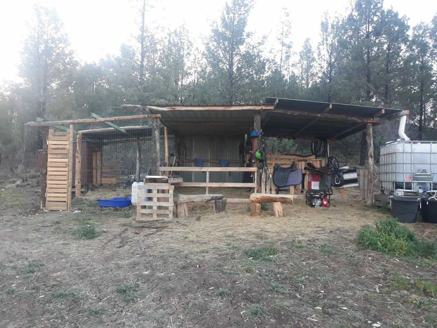 Additional image 6 of 12 Ironbark Drive, Warialda NSW 2402