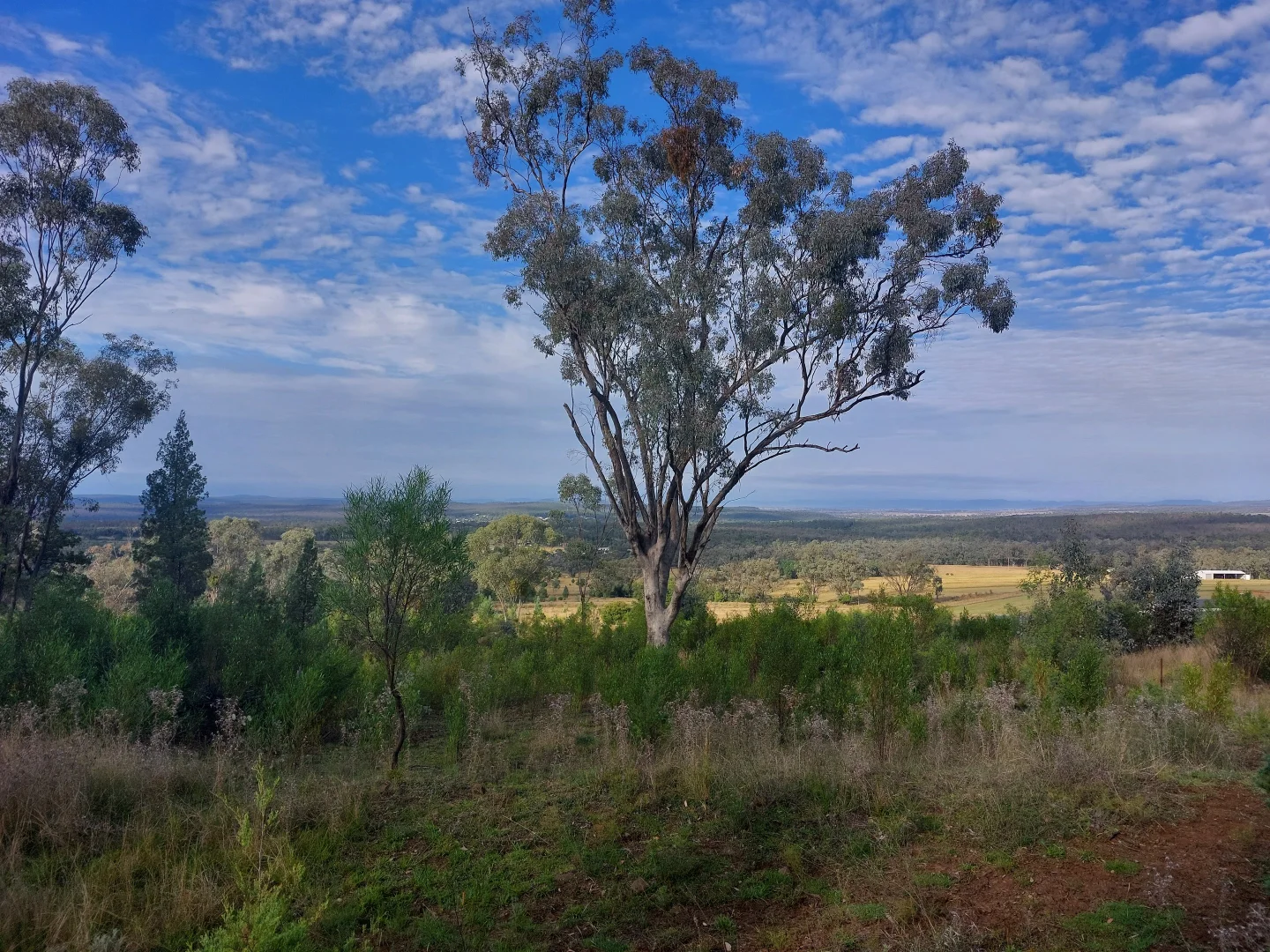 Additional image 3 of 12 Ironbark Drive, Warialda NSW 2402